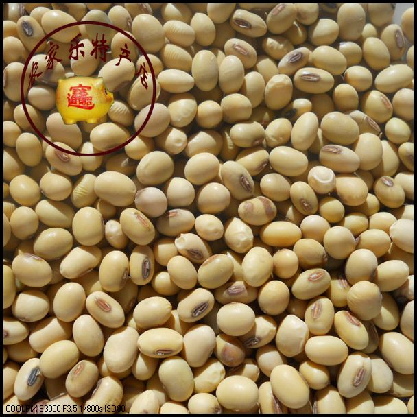 农家小粒笨黄豆/豆浆原料/大豆/500克|ruв категории зерно риса/север и Юг сухих грузов/приправы, метров/муки/зерновые, фасоль, соя - от Buy2taobao.com для оказания профессиональной услуги покупки агента Taobao