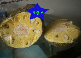  新鲜干包菠萝蜜正宗马来西亚产出整个起卖火热现卖江浙沪包邮热卖