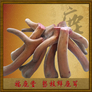  福鹿堂鲜鹿茸 新货头茬二杠 特肥超嫩含血多-泡酒首选