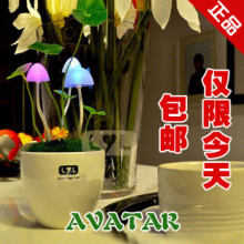 ��һ��ͯ�� �����������ﴴ����Ʒ��Ů��������diy����Ů��������