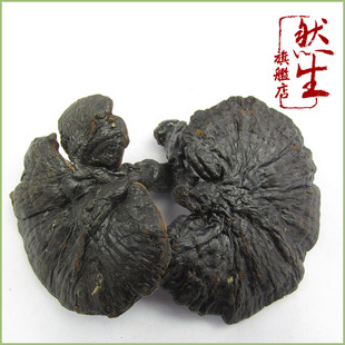  然生 云南紫芝黑灵芝 中华仙草太岁肉芝