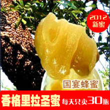 云南香格里拉圣山藏蜜 纯天然野生农家土蜂蜜和进口蜂蜜相媲美★