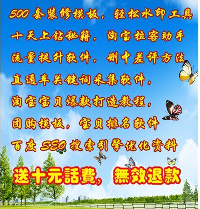您瞧！所有流行豪华模板旺铺扶持标准版店铺装修模板 教程+软件