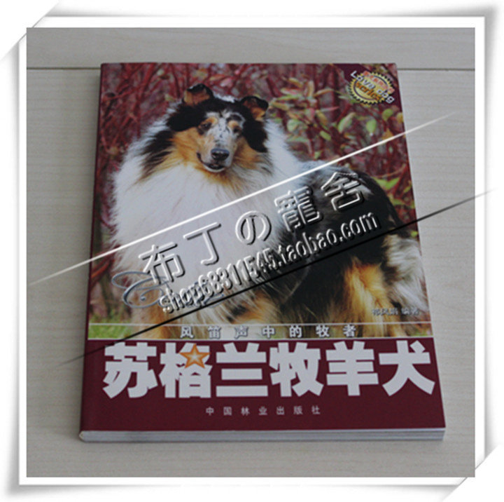 Scottish Collie dog training book dedicated Su Mu color books on dog feeding dog training books