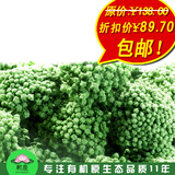 taobao english 13788335496