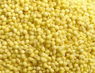  五谷杂粮 优质大黄米 黄糯米 粘米 500g*最美枣庄杂粮店*