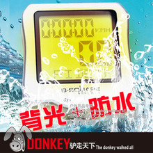 355A ������������ƷB-SQUARE ���г���� ��ҹ�� һ�걣��