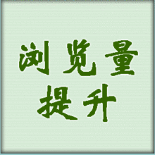 五钻 开店必备 流*量正版 假一赔十