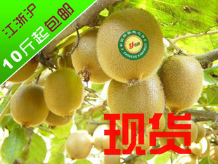  江山徐香猕猴桃/新鲜水果/江浙沪10斤起拍包邮