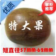 *精选*龙江自家产罗汉果*最新特大果（27个包运费）直径57-62MM