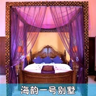 茂名浪漫海岸酒店客房 海韵一号别墅 广东沙滩