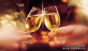  50斤水果自酿酒辅料套餐苹果梨蓝莓菠萝樱桃桔子橘子琵琶山楂甘蔗