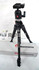 Manfrotto 曼富图行货 190X PROB+486RC2 190xprob 套装含云台