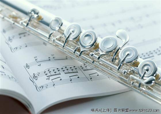 <em>乐器</em>/吉他/钢琴/配件其他<em>西洋乐器</em>【高仿雅马哈