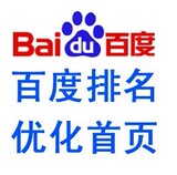 网站推广排名，seo优化服务，百度排名，百度推广，百度优化