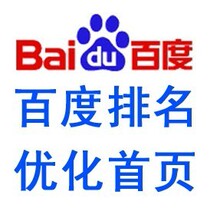 网站推广排名,seo优化服务,百度排名,百度推广,百度优化
