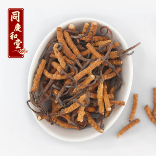  同庆和堂 正品包邮青海玉树冬虫夏草精挑断草同仁堂级别青海特产