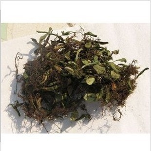 中药材 金星鱼鳖草/瓜子菜/金丝鱼鳖/石瓜米 500克 另有瓜子金在类目 传统滋补营养品, 药食同源食品, 其他药食同源食品中 - 来自Buy2taobao.com提供专业的淘宝代购服务