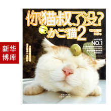 你猫叔了没(2)