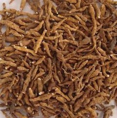 正品!天然野生九节菖蒲/外菖蒲/鸡爪莲/九节离/穿骨七小菖蒲500g在类目 传统滋补营养品, 药食同源食品, 其他药食同源食品中 - 来自Buy2taobao.com提供专业的淘宝代购服务