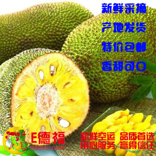  新鲜水果 马来西亚1/6号新鲜菠萝蜜 海南三亚产地直销