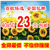 taobao english 15710236109