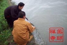 药师禅寺 农历 五月十三 伽蓝菩萨圣诞日 放各类生命 祈福