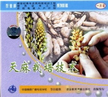 中国天麻栽培技术大全 天麻种植技术套装（4个光盘+5本书籍）