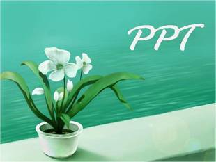 开题报告PPT制作\/本科硕士毕业论文排版\/答辩