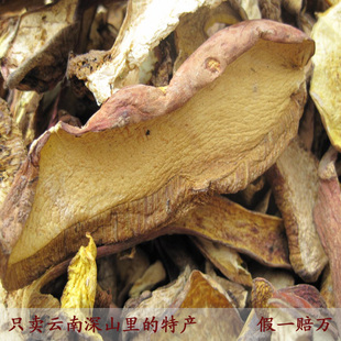  南北干货 野生黄牛肝菌 云南深山天然黄牛肝菌 50克起售 假一赔万