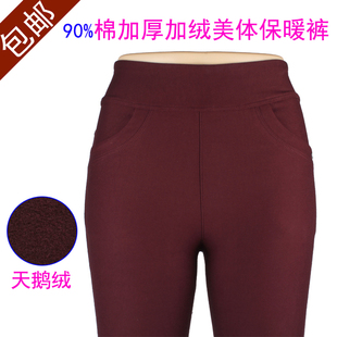  雅黛女高腰薄绒棉打底裤0851 0852 加厚加绒90%棉保暖裤0831 0832