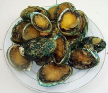 买到就是赚到 海鲜　速冻 鲜活 鲍鱼 特价68元/500克