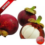 进口新鲜水果 特级泰国山竹 2斤江浙沪包邮 孩子满月 普天同庆 一流的售后 无后顾之忧