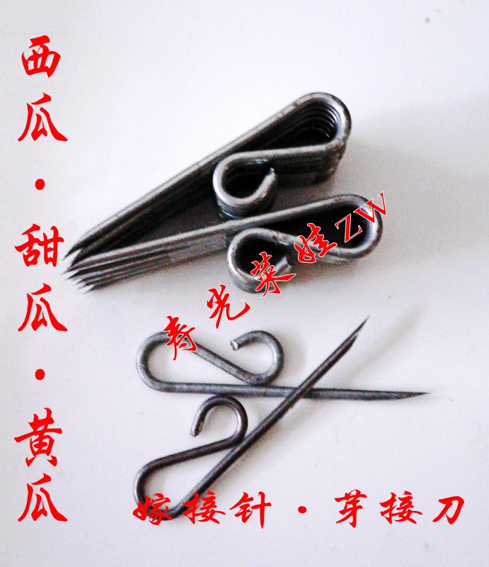 【嫁接专用嫁接针】嫁接刀 芽接刀 经久耐用 使用简单 3元/支在类目 鲜花速递/花卉仿真/绿植园艺, 园艺用品, 园艺/刀/剪/锯(新), 芽接刀中 - 来自Buy2taobao.com提供专业的淘宝代购服务