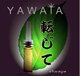 YAWATA茶树抗痘精油6ml痘痘快速消肿