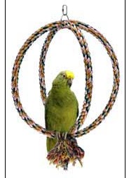 activity giant swing/diameter 32cm (With standard)/U.S.A PENNPLAXin the Pet/Pet food and supplies , Birds and supplies , Bird appliances (New) , Swing category - from Buy2taobao.com to provide professional Taobao agent buy service