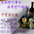 亏本特价清仓 外贸原单桑蚕丝被冬被 加厚被子4斤6斤8斤10斤 包邮