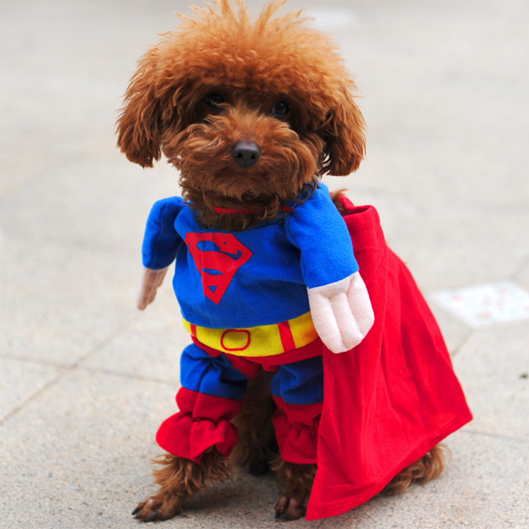 Blast wave Dogs Batman Spider-Man superman Cape Funny Transfiguration equipment Teddy VIP Golden Retriever Pets clothesin the Pet/Pet food and supplies , Pet apparel and accessories , Pet clothing/Raincoat category - from Buy2taobao.com to provide professional Taobao agent buy service