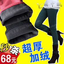 加绒加厚 保暖棉裤铅笔裤/秋冬打底裤小脚裤大码靴裤牛仔裤子女潮