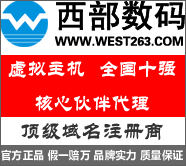 西部数码 虚拟主机 商用空间G002 300M空间 送数据库