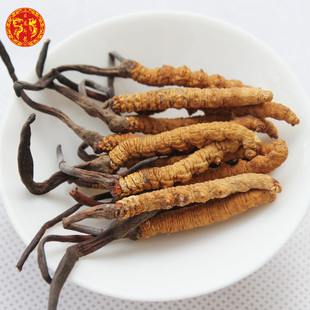  【非凤即龙】冬虫夏草正品 青海玉树虫草 3条一克 新货 包邮