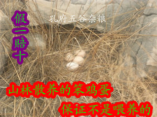  农家散养新鲜土鸡蛋 草鸡蛋 笨鸡蛋 柴鸡蛋 无公害鸡蛋 假一赔百