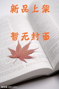 （全新正版）足球 NULL