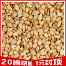 批发四川有机白芝麻 生芝麻【10元包邮】煎红油特香!冰粉用超赞