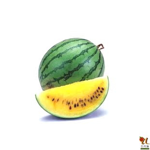  【全而廉】海南特小凤西瓜/黄肉西瓜/新鲜水果 1只 仅发上海