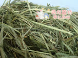 taobao english 3712342175