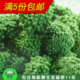 taobao english 13787847667