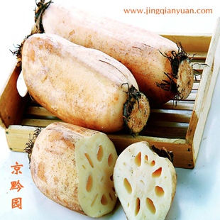  【京黔园】绿色食品优质蔬菜 莲藕 北京买菜当天送到家