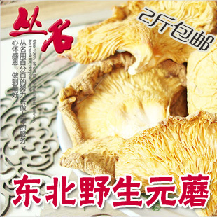 东北特产干货 野生元蘑菇/冻蘑 降血压血脂 精选纯天然 200g