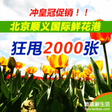【电子票】鲜花港门票 北京顺义国际鲜花港门票 百合文化节门票
